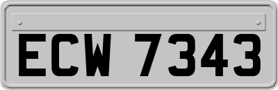 ECW7343