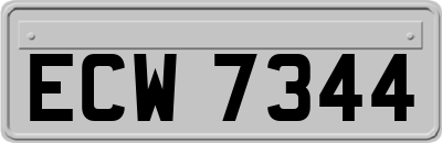 ECW7344