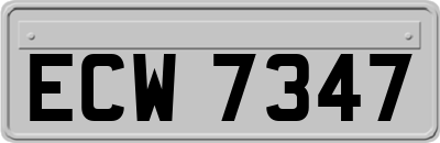 ECW7347