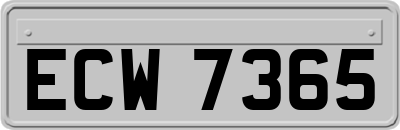 ECW7365