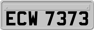 ECW7373