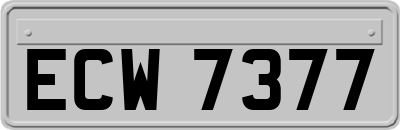 ECW7377