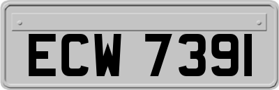 ECW7391