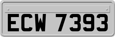 ECW7393