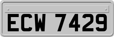 ECW7429