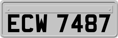 ECW7487