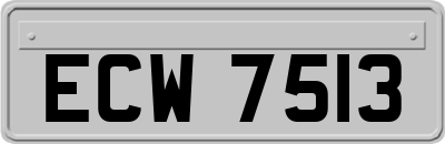 ECW7513