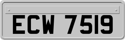 ECW7519