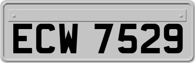 ECW7529