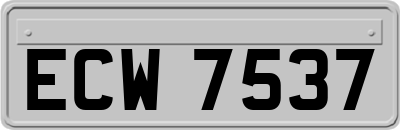 ECW7537
