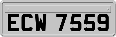 ECW7559