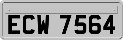 ECW7564