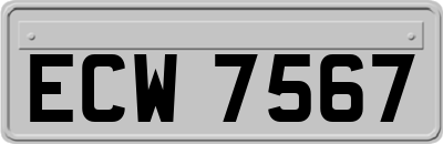ECW7567