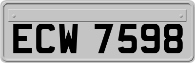 ECW7598