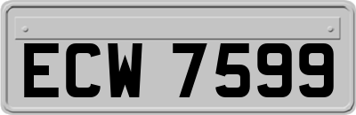 ECW7599