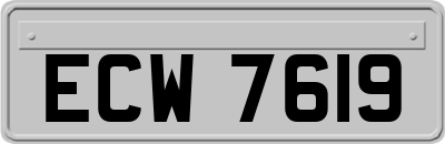 ECW7619