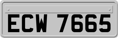 ECW7665