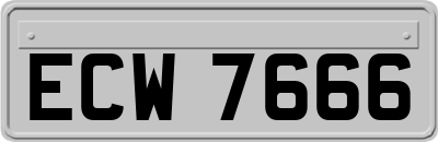 ECW7666