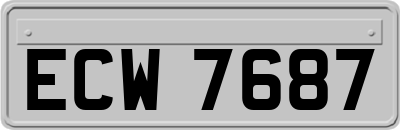 ECW7687