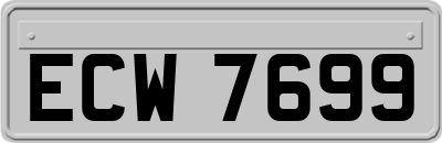 ECW7699