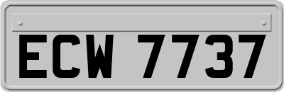 ECW7737