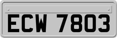ECW7803