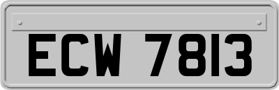 ECW7813