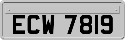 ECW7819