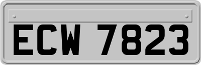 ECW7823
