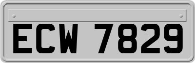 ECW7829