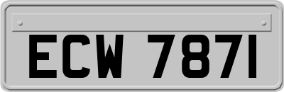 ECW7871
