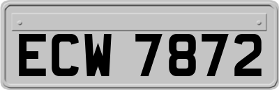 ECW7872