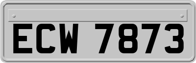 ECW7873