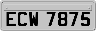 ECW7875