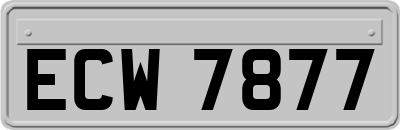 ECW7877