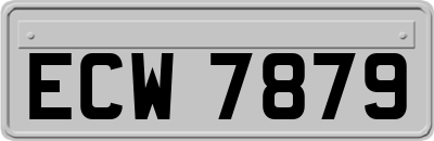 ECW7879