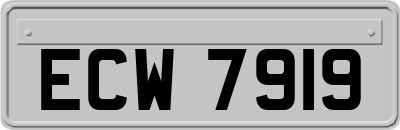 ECW7919
