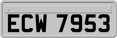 ECW7953