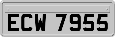 ECW7955