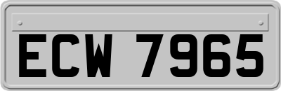 ECW7965