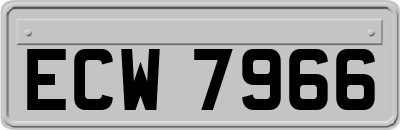 ECW7966