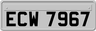 ECW7967