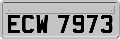 ECW7973