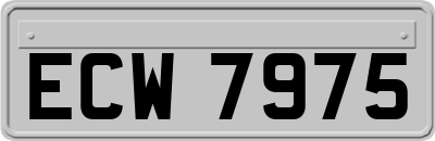 ECW7975