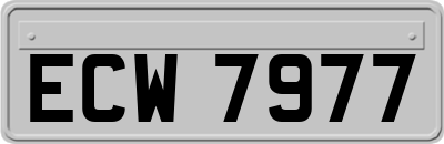 ECW7977