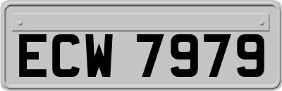 ECW7979