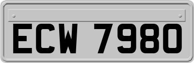 ECW7980