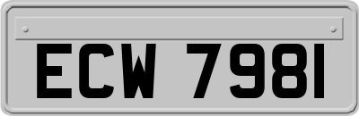ECW7981