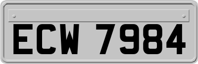 ECW7984