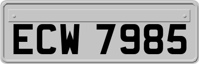 ECW7985